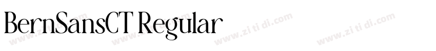 BernSansCT Regular字体转换